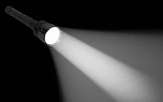 湖南男子吓死1100只鸡 凶器让人意想不到