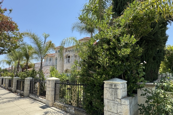 亲共侨领涉代孕贩婴案 21婴儿恐卖到中国