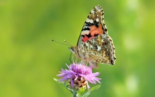 浮生行吟：尝试“突破”