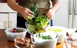 重金属如何劫持人体的营养通道