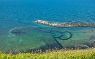 炎炎大暑也能补 中医民俗智慧 简易可得十补方