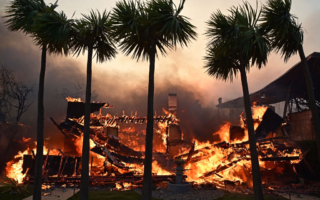 野火重创洛县 政府推多项税务救助方案