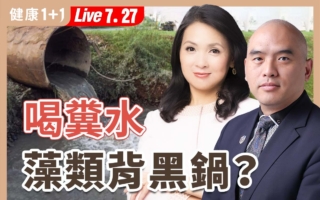 喝下粪水？杭州爆“全城水臭”灾难！