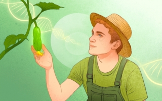 耐心能让你更年轻更长寿？科学告诉你原因