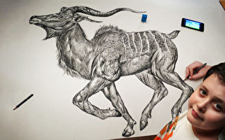组图:天才艺术家凭记忆画出超逼真动物