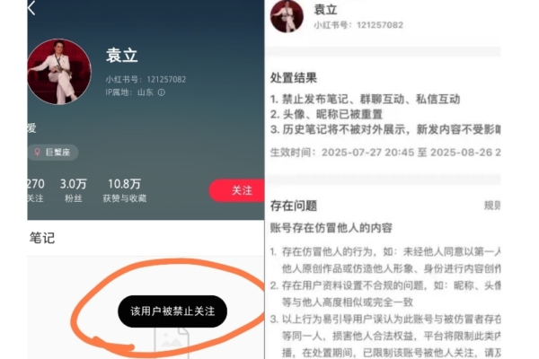社媒账号几乎全被封 大陆演员袁立:想离开了