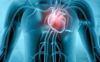 你听过心脏癌吗？ 为什么它非常罕见？