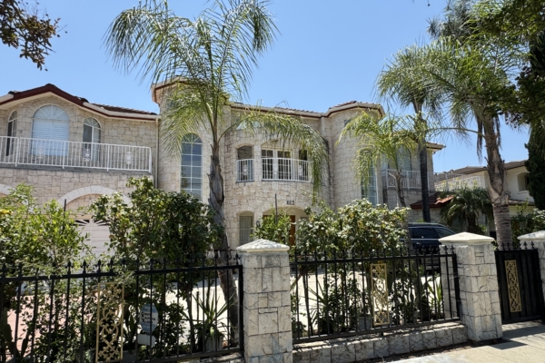 亲共侨领涉代孕虐童案 明码标价全美找孕母