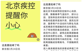 人禽流感H5N1动态曝光 北京密云启动监检点