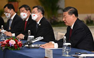 王赫:何立峰和刘鹤,习近平更倚重谁?