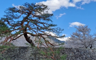 怎样的宰相 让宋仁宗流涕感念忧国忘身谁像他