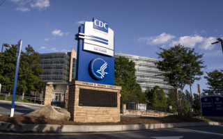 中国基孔肯雅热病例上升 美考虑发旅游警告