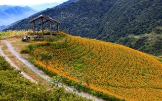 秋老虎立秋到 秋天养生最重这一道