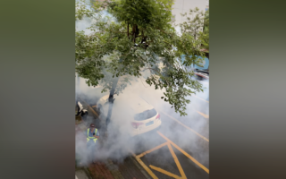 广东基孔肯雅热扩散 官方防疫措施引质疑