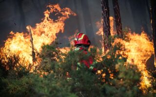 组图:多地野火肆虐 葡萄牙进入高度警戒状态