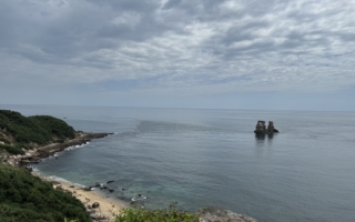 带妈妈一起家族旅行─金山篇