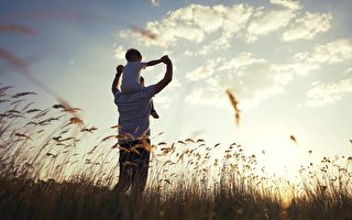 一只乌鸦帮父子俩找回了25年的时光