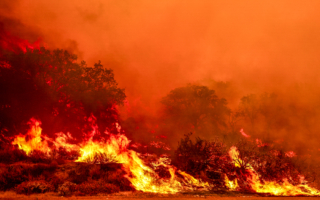 南加州野火烧毁10万英亩 当地再迎高温热浪