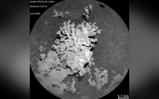 NASA好奇号发现火星上数十亿年前“珊瑚”