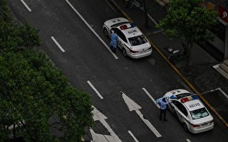 中共两名红三代暗示江泽民上海帮借疫反习