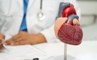 血管老化增加疾病风险 身体柔软助血管逆龄