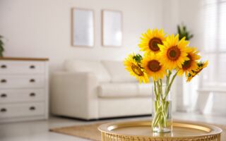 如何延长向日葵花束的寿命？ 专家分享8招