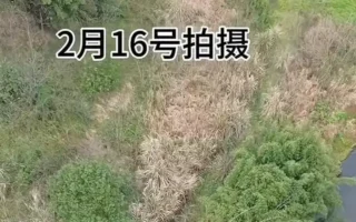 重庆一地墨汁般臭水排入长江 被无人机拍下