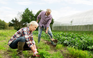 从事园艺工作也有运动功效 一举数得