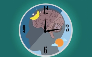 晚餐过晚扰乱代谢 研究揭进食时间与血糖关联