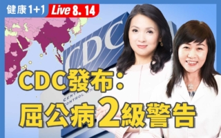 蚊媒疫情拉警报：基孔肯雅热爆发！