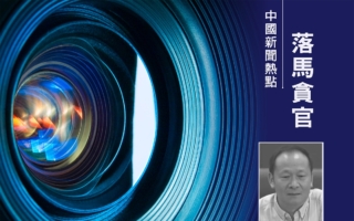 湖北省农业农村厅前副厅长杨遥被“双开”