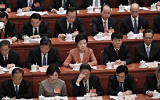 内蒙“换装女王”王莉霞落马 更多内情曝光