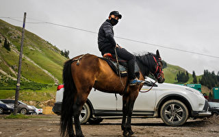 被邀“免费游中国” 香港网红：找错人了