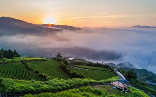 茶禅一味苏轼名句：人生所遇无不可 我生百事常随缘