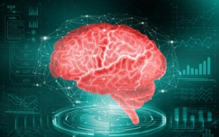 让大脑暂时“关机” 你的表现会不一样