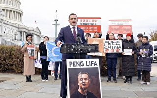 白纸运动一周年 人权组织在美国会山前集会