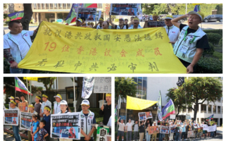抗议中共跨境镇压 海外多组织声援港民主人士