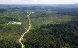 印尼直升机起飞8分钟后失联 8人下落不明