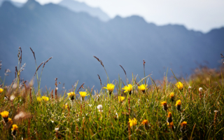 燕居拾尘：大妈和伯伯