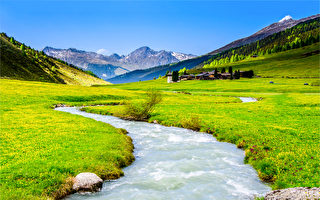 生命如是：一场静水深流的修行