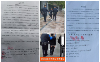 林地被政府处理给邻户 四川访民维权三年无果