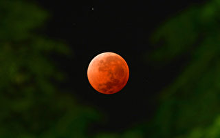 四连血月不寻常？（1）史上最吸睛的例子