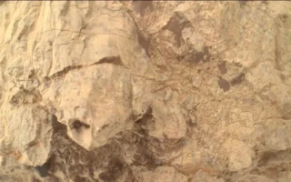 NASA毅力号在火星古老岩石中拍到“乌龟”