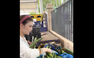 中国经济萧条 年轻人开始捡剩菜吃