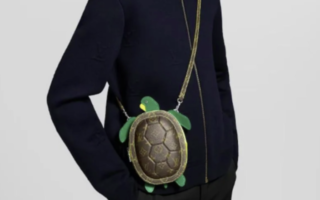 2.5万LV迷你乌龟袋登场 网民:为全红婵而设