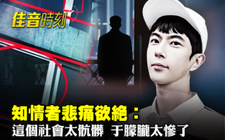 【佳音时刻】知情者悲痛欲绝：朦胧弟弟太惨了