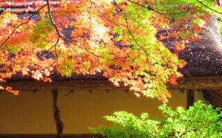 秋分节气为什么宝贵？ 老子说天地之气莫大于和