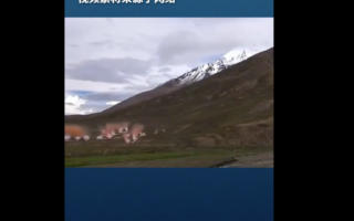 蔡国强于喜马拉雅山点燃“烟火秀”引批评