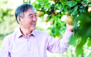 新泽西常青农场：果香中传播善念