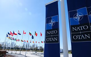 立陶宛防长:美国防务贡献大 欧洲需尽责